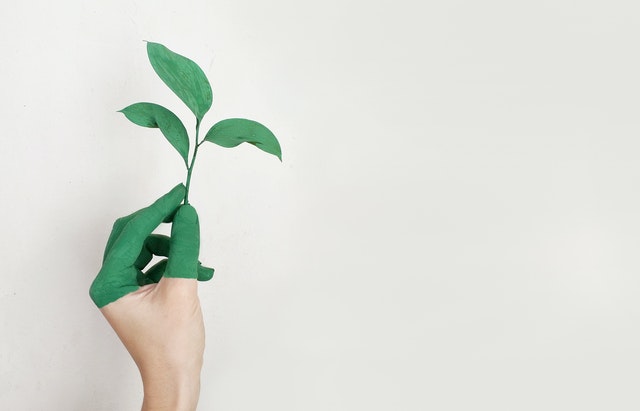 Kinésithérapie et écologie