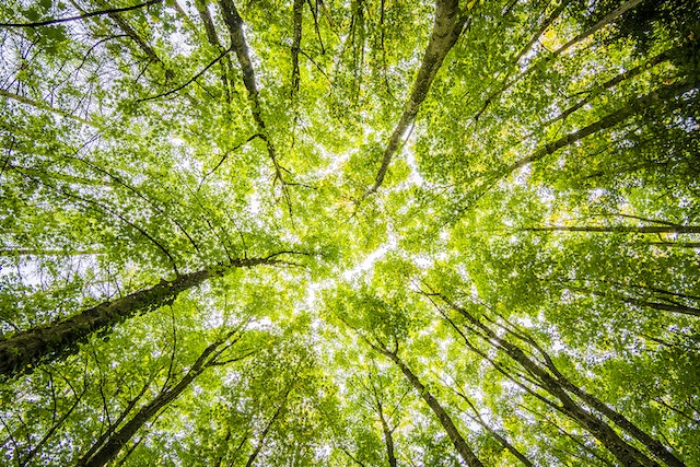 La transition écologique chez les kinés