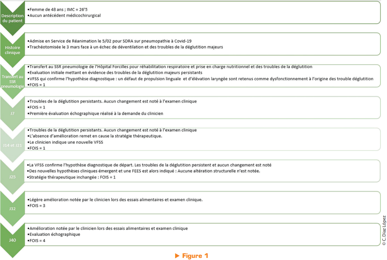Synthèse chronologique du cas clinique